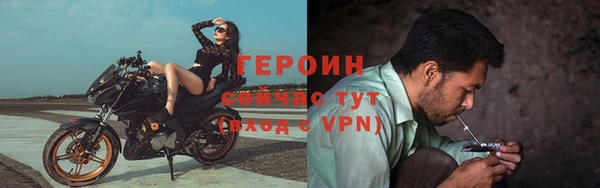 прущие грибы Волосово