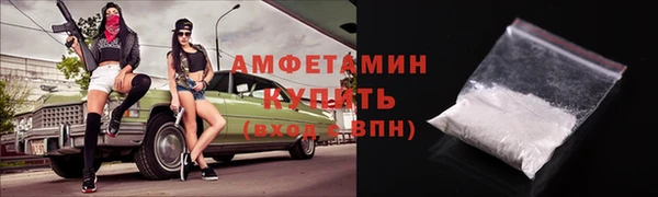 прущие грибы Волосово