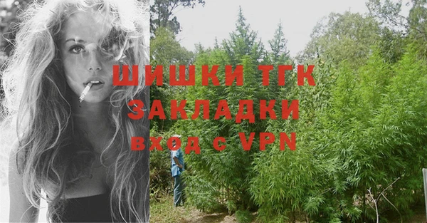 прущие грибы Волосово