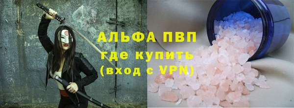 прущие грибы Волосово