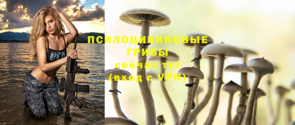 прущие грибы Волосово