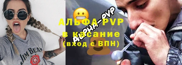 прущие грибы Волосово