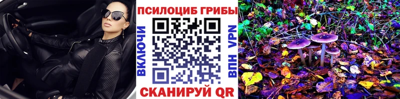Купить  Ладушкин  Галлюциногенные грибы Magic Shrooms 